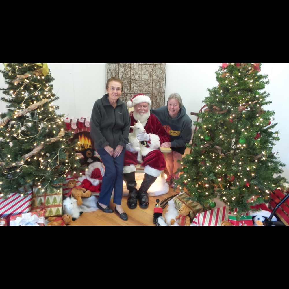 Meet your Posher, Cheryl